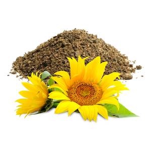 Farine de tournesol à haute teneur en protéines pour l'alimentation animale en granulés-Repas de gâteau de tournesol à haute teneur en protéines à vendre à des prix compétitifs - Product Image 1