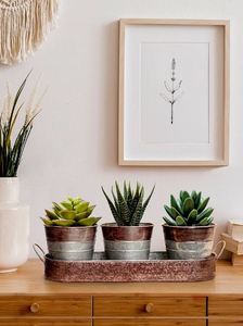 Jardinière en métal moderne en métal galvanisé gaufré marron et argenté pour le jardin et la maison au meilleur prix - Product Image 2
