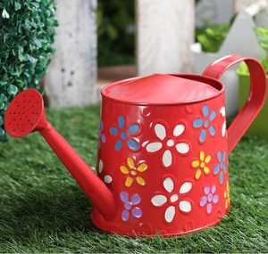 Arrosoir de jardin classique pot d'eau nouveau design arrosoir métal peut utiliser pour jardin décoratif - Product Image 4