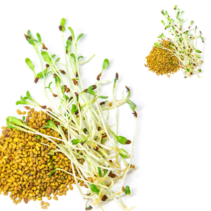 อาหารสัตว์สีเขียวอัลฟัลฟาพร้อมใช้ความอร่อยสูง - Product Image 3