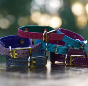 Engraved Dog <b>Collars</b>, Custom Dog <b>Collars</b> with Name Plate for Greyhound and Whippet - Product Image 2