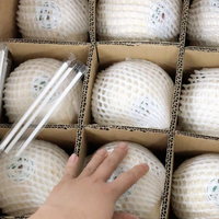 Premium kwaliteit, topklasse verse jonge kokosnoten, diamantvormig, 100% natuurlijk, VILACONIC merk, natuurlijk zoet, 0,5 kg, zomerse drankjes