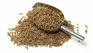 Fournisseur de granulés de bois de qualité supérieure – Granulés de combustible biomasse – Vente en gros et exportation - Product Image 3