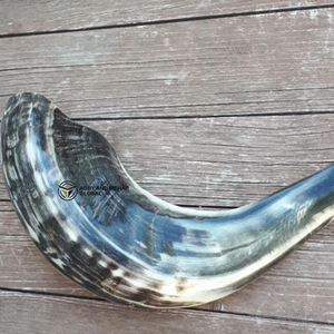 Vente en gros de cornes de shofar de bélier naturelles cornes d'animaux fabriquées à la main pour la décoration intérieure et les détaillants de cadeaux - Product Image 6