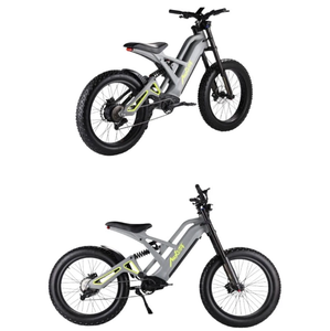 Bicicleta Eléctrica de 20 Pulgadas con Cuadro de Aleación de Aluminio, Doble Suspensión, Frenos de Disco, Batería Integrada, Motor de 500W en el Buje Trasero, 48V 15Ah de Litio - Product Image 1