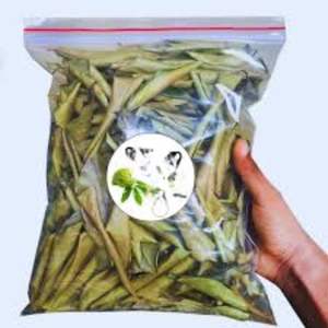 Feuilles de corossol entières vertes naturelles séchées biologiques pures de qualité supérieure pour tisane - Product Image 4