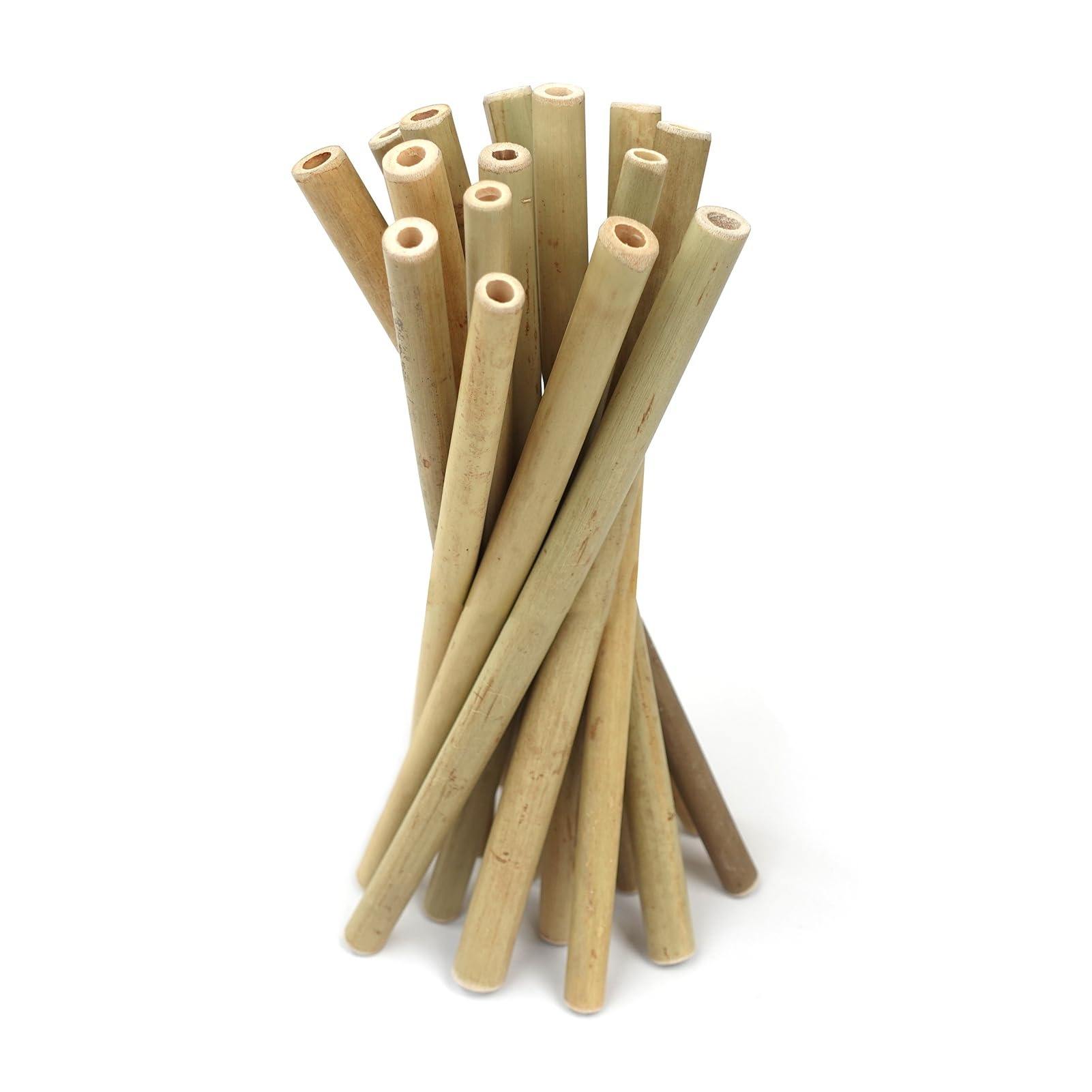 ธรรมชาติ