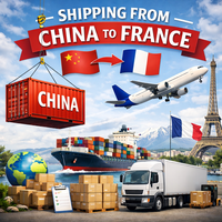 Transitaire maritime Chine-France, agent d'expédition DDP, fret maritime, fret aérien, service FBA porte-à-porte