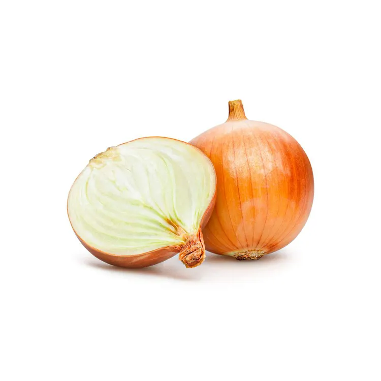 Fresh Yellow Onion With high quality