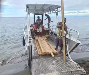 Bote de Trabajo Comercial de Aluminio Personalizado, Capacidad de Carga de 3000 kg, Motor de Gasolina/Petróleo para Transporte de Carga - Product Image 4