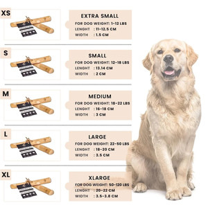 100% Café madera perros masticables con precio barato 2023 - Product Image 4