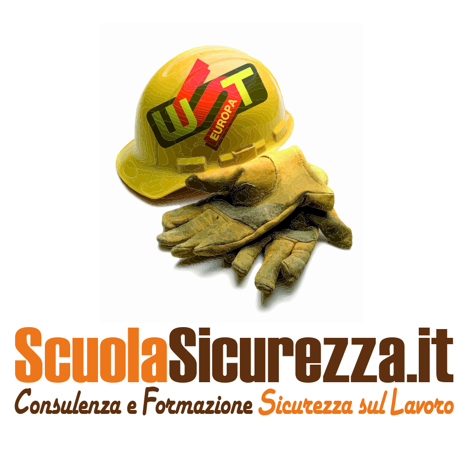 WST EUROPA SRL logo