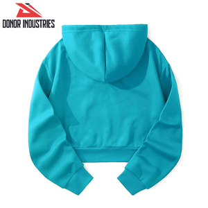 100% algodón sólido otoño hombres Puff Impresión logotipo personalizado peso pesado pulóver sudaderas con capucha - Product Image 2