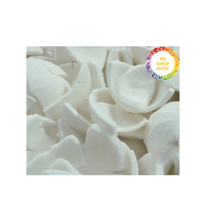 Carne de coco/Copra de coco Material de coco secado al sol de calidad superior para repostería y exportación de Vietnam - Product Image 6