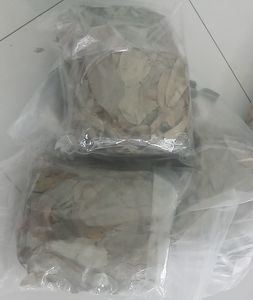 Feuilles de corossol sauvages/feuilles de corossol séchées au soleil, feuille propre, approvisionnement séché en vrac pour mélanges de thé, expédition rapide, exportateur fiable - Product Image 4