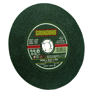 Stampo Abrasivo per Ferro 300 X 3.5 - Foro 30 mm - Product Image 1