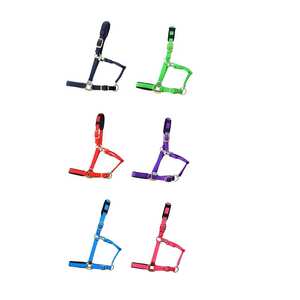 Venta al por mayor de calidad personalizada cuerda de nailon caballo Halter Set fuerte duradero ecuestre OEM/ODM producto con hardware de metal de hierro - Product Image 6