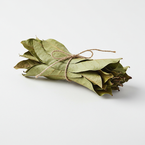 Hojas de Guanábana secas de alta calidad de Vietnam Producto agrícola de alta pureza y bajo costo - Product Image 4