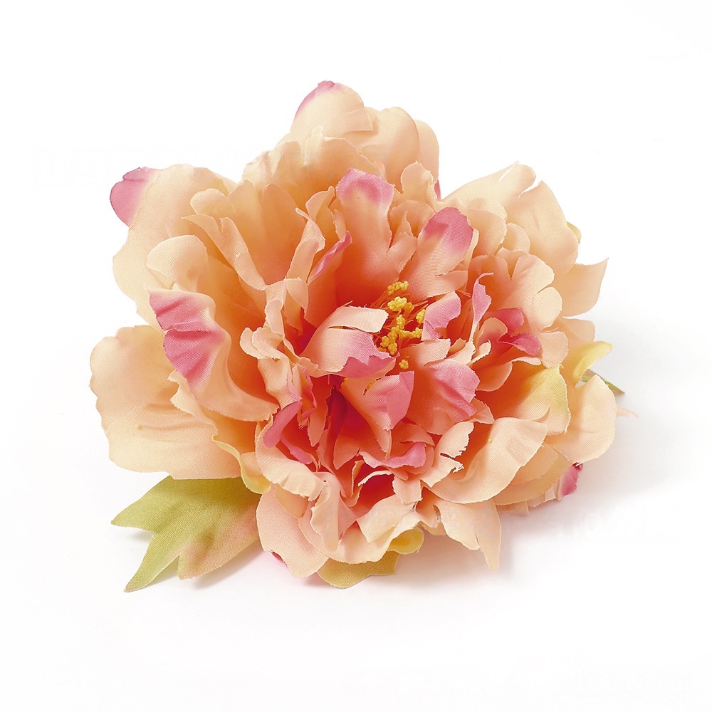 Rose-3