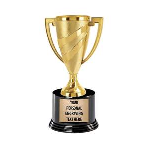 Trophée de cricket en métal exclusif, coupe de championnat, récompense, cadeau commémoratif - Product Image 1