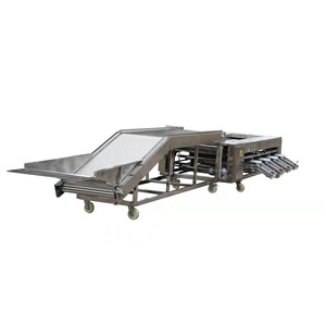 Automatic Fruit and Vegetable Roller Grading <b>Machine</b> for Food <b>Processing</b> Plant - Product Image 4