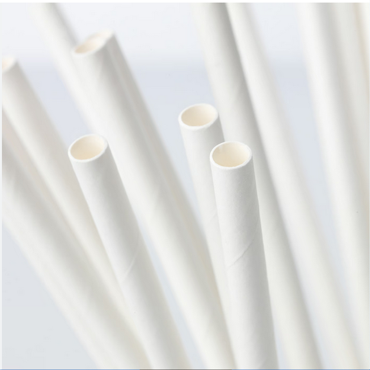 Nidy Paper Straws Premium Food Grade Eco Straws for Safe, Compostable & Sustainable Drinking Experience.