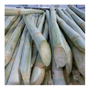 Palitos de caña de azúcar congelados de primera calidad de Vietnam que conservan el aroma fresco perfecto para la industria de bebidas y aplicaciones culinarias - Product Image 1