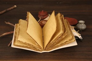 Blank Spell <b>Book</b> of <b>Shadows</b> Luna Moth Journal Witchcraft Supplies Moth Decore and Morpho Butterfly Print - Product Image 3