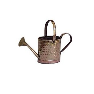 Arrosoir en métal élégant, nouvelle arrivée, exportateur et fournisseur, fabricant d'arrosoirs galvanisés au design personnalisé - Product Image 5