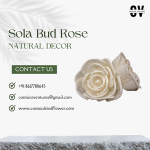 Fleur de rose en sola naturelle de qualité supérieure populaire pour les événements romantiques de mariage, la décoration de la maison et du bureau, fournisseur en gros - Product Image 6