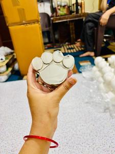 Ficha en forma de pata clásica de latón de estilo americano, urna pequeña para mascotas, acabado en níquel con soporte para entierro y cremación de mascotas - Product Image 4