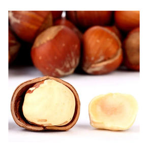 Avellanas blanqueadas de calidad de sabor natural BARATO DE ALTA CALIDAD/Avellanas orgánicas HAZEL KERNEL a la venta al mejor precio - Product Image 2