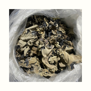 Cloud Ear Mushroom Dried Form for Cooking Food Preparation and Processing Industry Application - Product Image 1