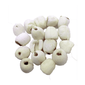 เมล็ดบัวแห้ง เมล็ดพันธุ์ธรรมชาติ ผลิตจากวัตถุดิบบัวคัดสรรพิเศษ สำหรับผสมอาหาร ผลิตโดยเกษตรกรในเวียดนาม - Product Image 2