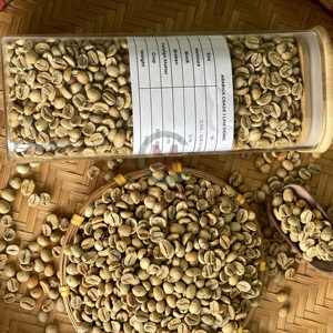 Grains de café Robusta du Vietnam de qualité supérieure, taille 16 AA+, qualité supérieure, pur et naturel, export en vrac, sacs PP de 60 kg, fournisseur - Product Image 5
