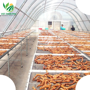 Plátanos secos de alta calidad recién exportados de Vietnam a precios mayoristas listos para envío - Product Image 6