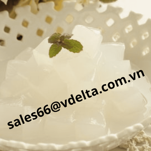 Nata De Coco cruda comprimida de Vietnam/gelatina de coco para el mercado de Corea de Bangladesh en jarabe/Lirio - Product Image 4
