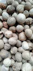 พรีเมี่ยมสินค้าเกษตรลูกจันทน์เทศในรูปแบบหัก/bwp - Product Image 4