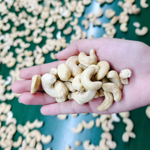 ตัวอย่างฟรี เม็ดมะม่วงหิมพานต์ ขายส่ง เม็ดมะม่วงหิมพานต์ SANTIGO พร้อมส่ง ขนาด W180 W240 W320 - Product Image 6