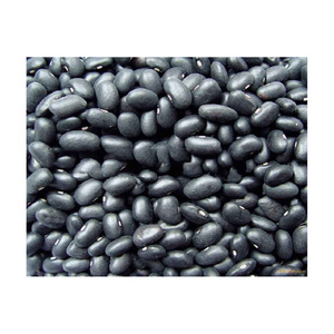 Haricots noirs et haricots blancs et haricots noirs aux meilleurs prix maintenant avec un délai de livraison rapide - Product Image 3