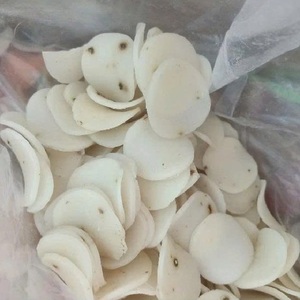 Chips de camarones secos sin cocer para galletas de gambas crudas en bolsa Snack insípido para adultos - Product Image 4