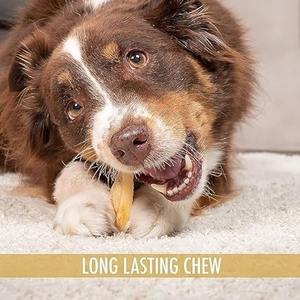 100% oreilles de vache et de boeuf naturelles mâcher de haute qualité Buffalo chien traiter la nourriture pour animaux de compagnie écologique chien mâcher - Product Image 3