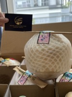 Exporteer Tropisch Fruit Uit Vietnam Verse Jonge Kokosnoot Gemakkelijk Te Openen Met Stro