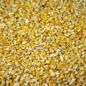 Maïs jaune séché de haute qualité cultivé avec des OGM Quantités en vrac fraîches prêtes pour la livraison - Product Image 6