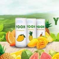Jus de mangue purée aromatisé au Vietnam, boisson aux fruits tropicaux, boîte en vrac, canettes normales 250ml 330ml, prix usine OEM