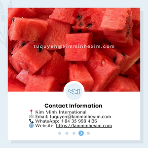 ชิ้นส่วนแตงโมแช่แข็ง iqf จำนวนมากสำหรับน้ำผลไม้สมูทตี้และของหวาน - Product Image 5