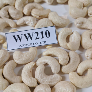 SANTIGO <b>Nuts</b> & <b>Kernels</b> Raw Cashew <b>Nuts</b> WW210 Custom Service Available W210 Cashew <b>Nuts</b> - Product Image 1