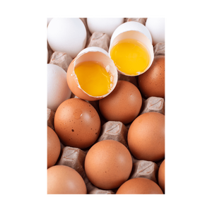 Huevos marrones disponibles a precio económico para compras al por mayor con stock confiable - Product Image 6