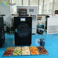 Commerciële mini-vriesdroogmachine met oliepomp voor snoep, voedsel, fruit en groenten - prijs