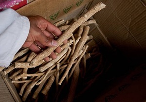 Neem Miswak ธรรมชาติ100% พร้อมที่ใส่ปากกาผลิตภัณฑ์สุขอนามัยในช่องปากอเนกประสงค์ - Product Image 4